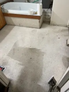 Cleaning Service