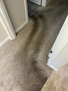 Cleaning Service