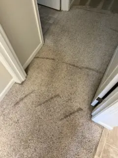 Cleaning Service
